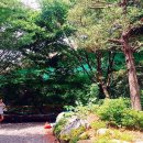 지현펜션 이미지