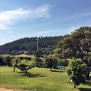 활주로민박 이미지