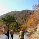 임학주유소 이미지