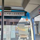 쥐쥐앤비카페 | 제주 여행 로그 / 제주 구좌 여행 /제주 일통이반 / 제주 신해바라기 / 제주바이러닉 에스프레소 / 제주...