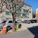 변소영백년밥상 이미지