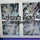 모락스칼프 | 닥터모락고잔점 안산탈모 안산탈모관리 안산두피 안산두피관리
