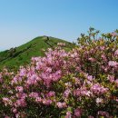 제206차 정기산행 봉화산에서 소백산변경 이미지