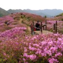 지장축산 이미지