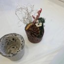 [율정]나만의 페이퍼토퍼소품 | 파주 방학원데이체험 발포세라믹 키즈클래스 파주공방 려온공방