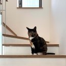 우리 건축사사무소 이미지