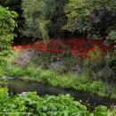 선운사의추억 이미지