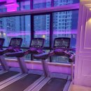 팀온짐(TEAM ON GYM) 이미지