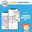 국제몰 이미지