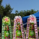 병곡초등학교 이미지