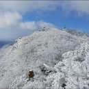2월 정기산행- 대둔산(879m) 이미지