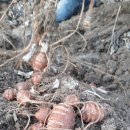 산내골농장 이미지