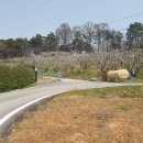 이장배농장 이미지