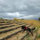 토우치과의원 이미지