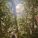 샵 고깃집 이미지