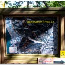 다물이네 이미지