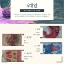 암 재활 이미지