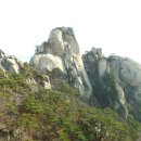 에덴동산 이미지