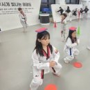 눈부시게 빛나는 태권도장 이미지