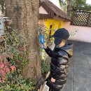 나무와흙 이미지