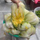 김장한 | 괴산클라스 절임배추 20kg 김장한 후기!!