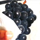 명안농장 이미지