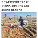 두엄퇴비 발효열을 이용한 노지 육묘 이미지