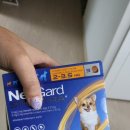 대흥약국 이미지