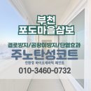 포도마을삼보아파트경로당 | [부천 탄성코트] 포도삼보영남 아파트 베란다 결로방지 페인트 도색