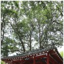 삼외당 이미지