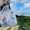 럽미몽 | 제주도 관광지 가볼만한곳 제주시 여행 코스 추천