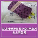 요도 | 강아지 방광결석 수술 후기 여전한 잔뇨감 요도 확장제 일주일 후기
