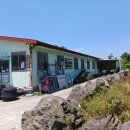 표선리-2 이미지