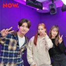 허그댕댕 이미지