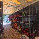 하하 | 칸쿤 핑세치투어 준비물 하하투어 내돈내산 후기