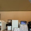 오렌지 애견카페 이미지