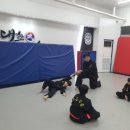 특공무술강인체육관