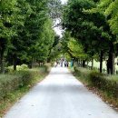 경기목장 이미지