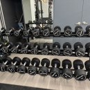 시드니짐 이미지