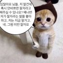 나 자러 갈게 눈아들 굿나잇 좋은 꿈 꿔 내 꿈 꿔 이미지