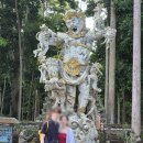 발리 우붓 원숭이랑 사진찍기 좋은 상에 몽키포레스트 후기 sangeh monkey forest