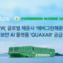 에버그린 이미지