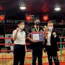 프로팀스타 복싱 이미지