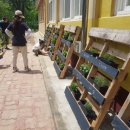 경기도 양평군 정배초등학교 이미지