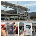 (주)고려제지 | 2026 박효신 A&amp;E 콘서트 후기 ｜첫콘vs중콘 비교 (셋리스트, MD, 준비물, 주차)