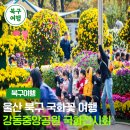 강동중앙공원 이미지