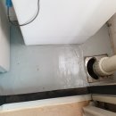 SK허브수 이미지