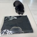 오키독 커스텀 프린팅 티셔츠에 반려동물을 담다