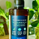 초보식물 집사들을 위한 홈가드닝 | 푸미라 키우기 블루윈 플랜트에너지 식물영양제로 튼튼하게