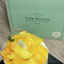 시루 Daum카페